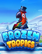 แนะนำ slot credit เกมทำเงินจาก NetEnt