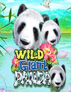 เว ป แทง บอล ที่ควรลอง เล่นสล็อตสนุกที่สุด